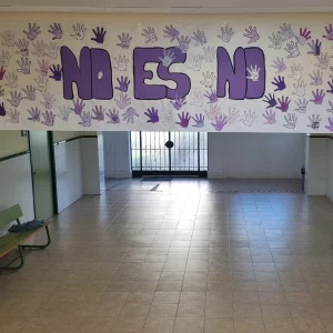 IMG_20241209_173207_412