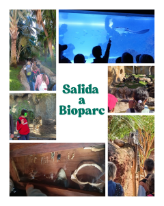 Salida_20250405_112429_0000